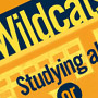 F2F Wildcat Poster Graphic